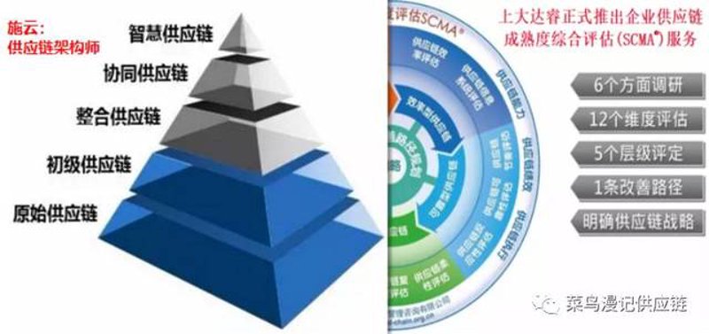 供应链管理公司：在复杂市场中寻找最佳路径